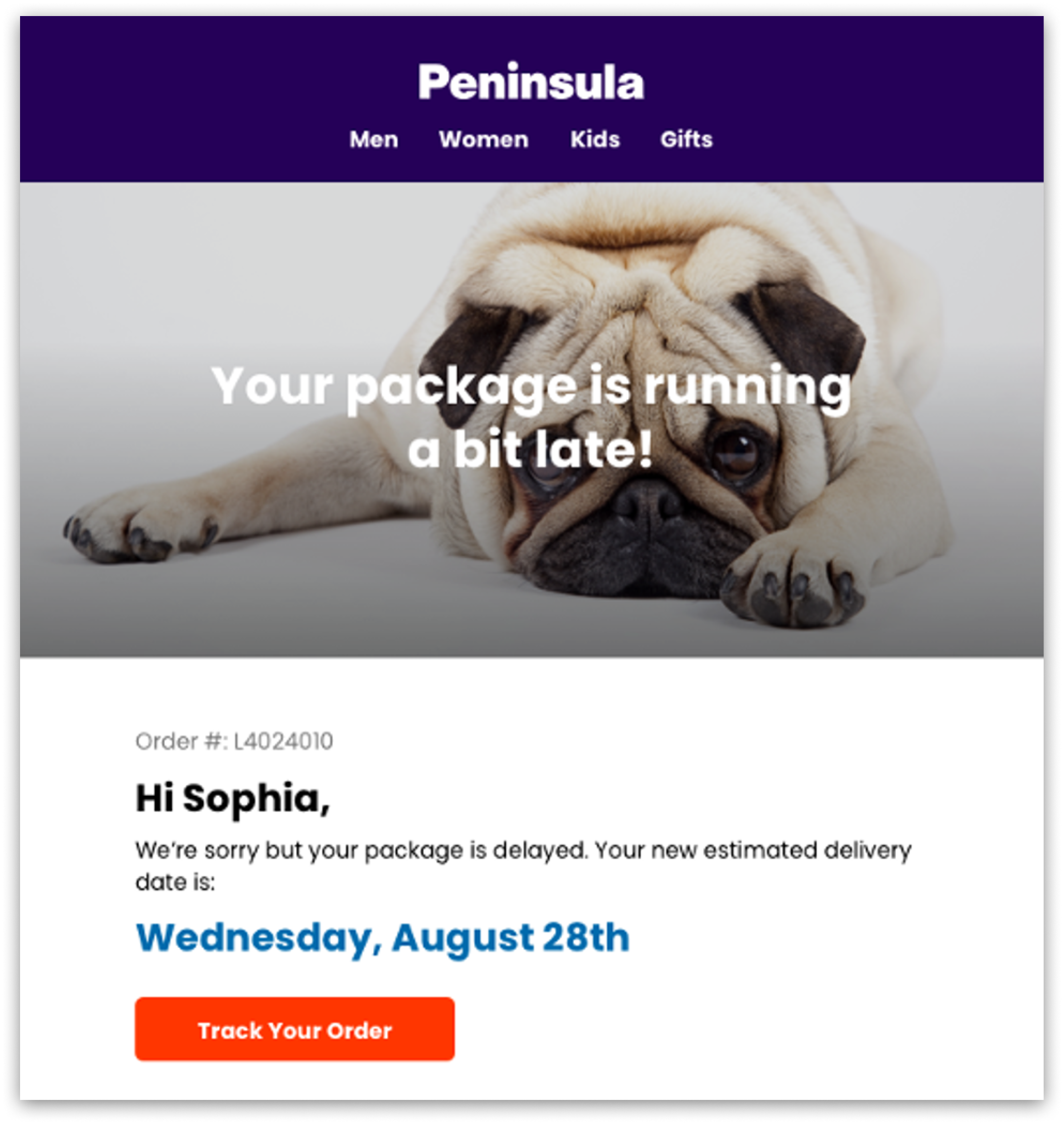 Carrier_Delay_Email.png