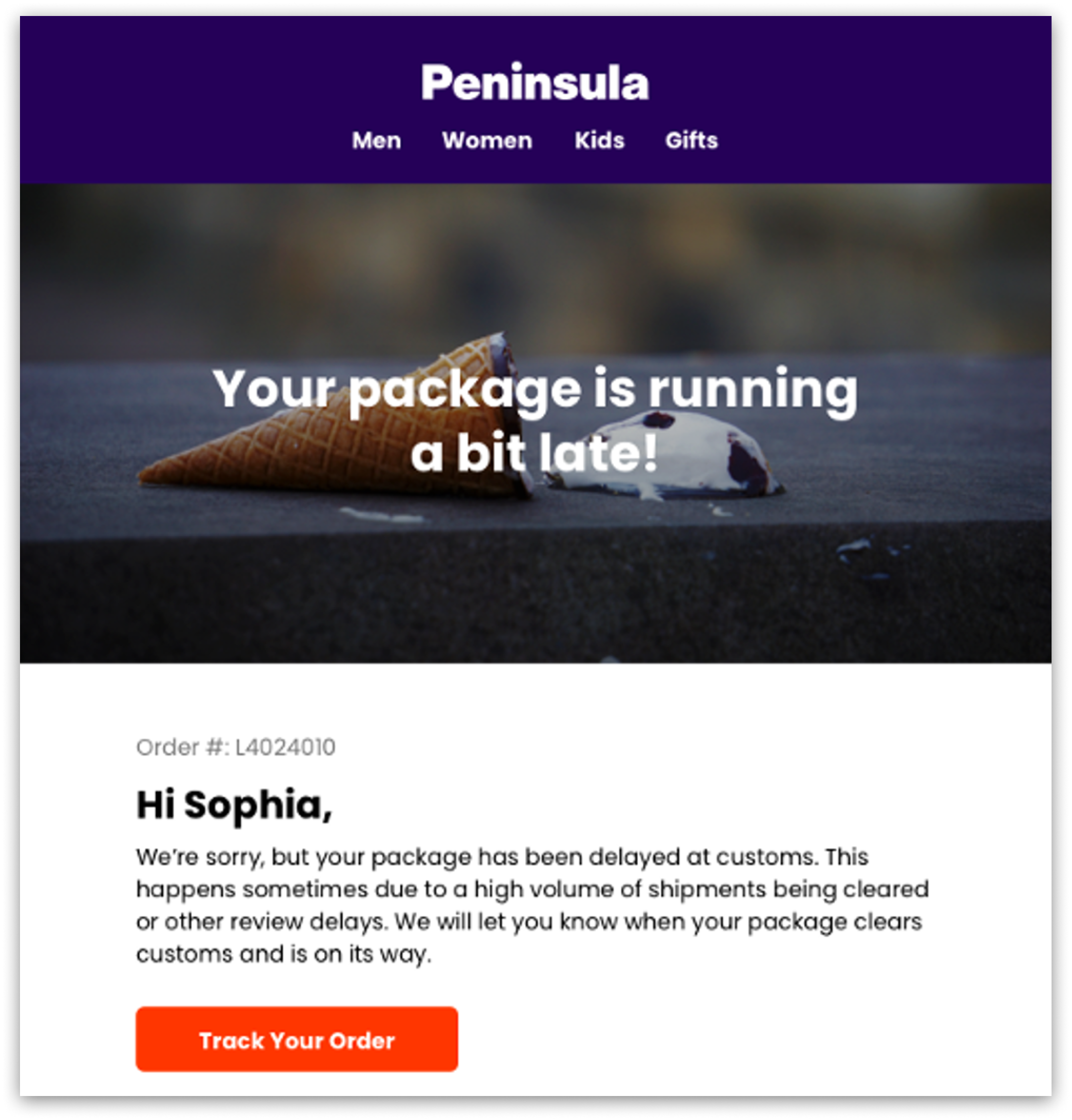 Customs_Delay_Email.png